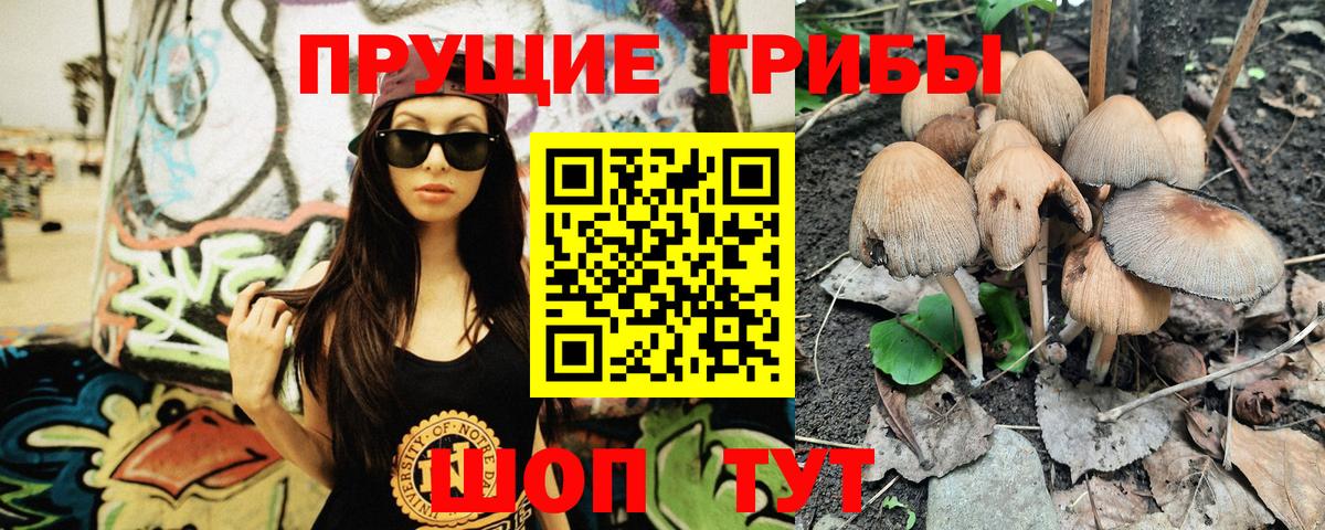 Железногорск  Галлюциногенные грибы мухоморы  Вход с VPN 
