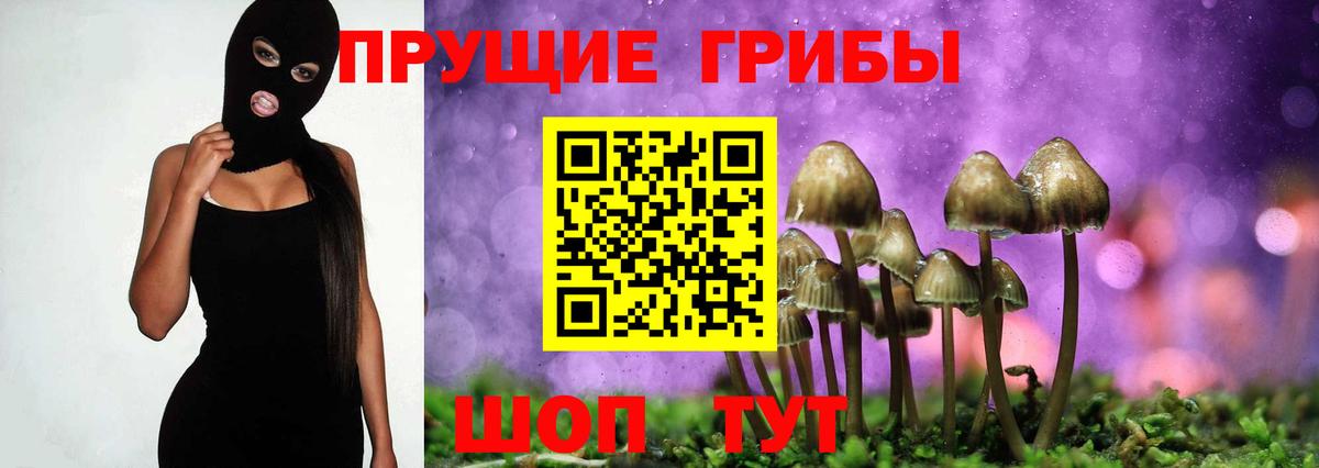 Галлюциногенные грибы мицелий Железногорск